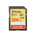SanDisk SDSDRX3-256G-A21