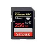SanDisk SDSDXPA-256G-JU3