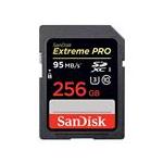 SanDisk SDSDXPA-256G-Z46
