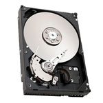 Seagate HDST3160215SCER