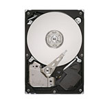 Seagate HDST9320421AS