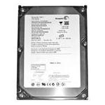 Seagate ST3160828AS