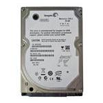 Seagate ST980813AS