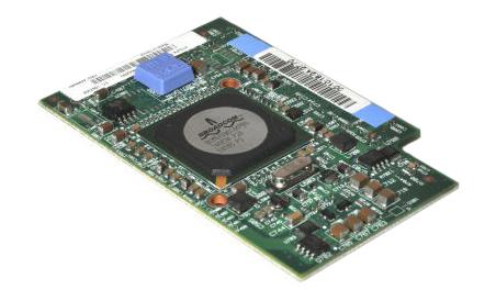 44W4475-06 IBM 1000Base-X Ethernet Expansion Card (CIOv) by Broadcom for BladeCenter HS12
