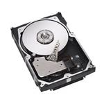 81Y9735 IBM Hard Drive