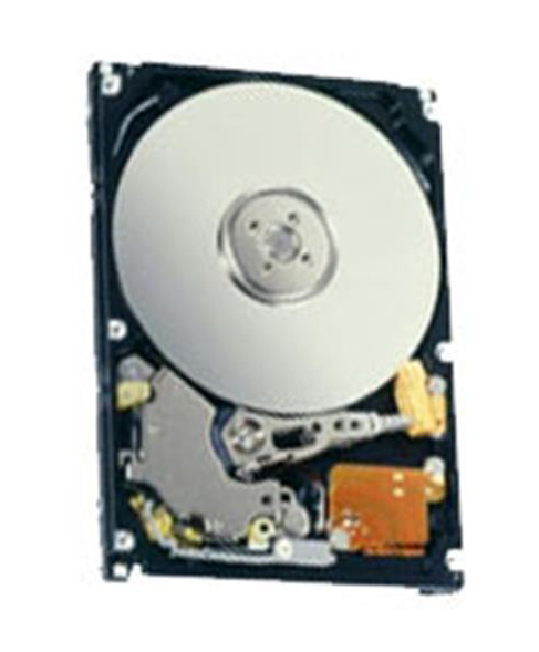 93P5343 IBM 250GB SATA Internal Hard Drive