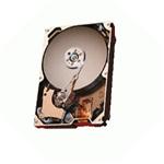 DDY35-UD07-004A Quantum 750GB 7200RPM SATA 3Gbps Hot Swap 3.5-inch Internal Hard Drive for DXI3500