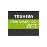 Toshiba KBG3AZPZ256G