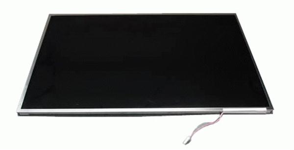 N876G-N Dell 15.4in Wxga LCD Panel W/inverter