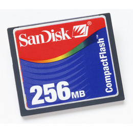 SDCFB-256 SanDisk 256MB CompactFlash (CF) Memory Card