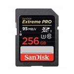 SanDisk SDSDXP256GA46