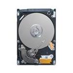 Seagate ST1000LM021