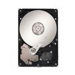 Seagate ST3100640SS