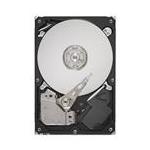 Seagate ST3160813AS1