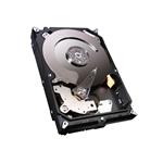 Seagate ST3160828AS1