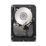 Seagate ST3300656SS-HP