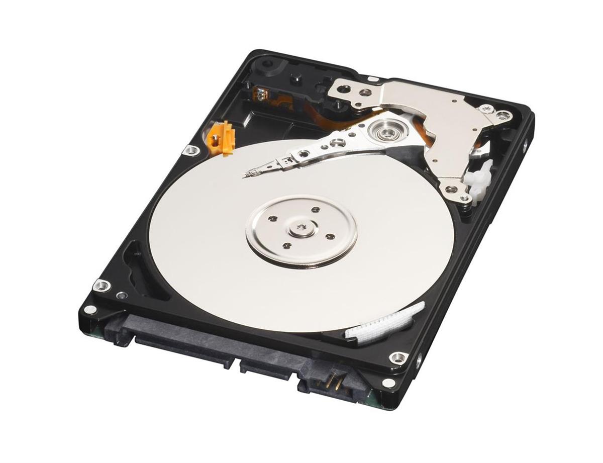 ST9250610NS-IBM Seagate Constellation.2 250GB 7200RPM SATA 6Gbps 64MB Cache 2.5-inch Internal Hard Drive