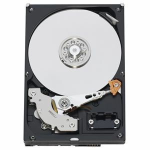 WD1600AVBS-20PK Western Digital AV 160GB 7200RPM SATA 3Gbps 2MB Cache 3.5-inch Internal Hard Drive (20-Pack)