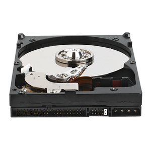 WD1600SB/5PK Western Digital RE 160GB 7200RPM ATA-100 8MB Cache 3.5-inch Internal Hard Drive (5-Pack)