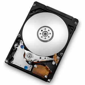 0A57523-20PK Hitachi Travelstar 7K320 160GB 7200RPM SATA 1.5Gbps 16MB Cache (BDE) 2.5-inch Internal Hard Drive (20-Pack)