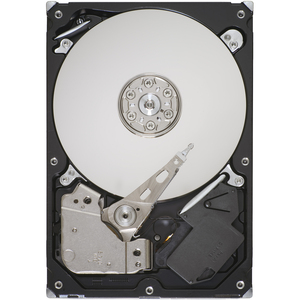 ST3160215ACE-IM Seagate DB35 Series 7200.3 160GB 7200RPM ATA-100 2MB Cache 3.5-inch Internal Hard Drive