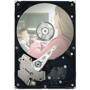 ST3160212SCE-RF Seagate DB35 Series 160GB 7200RPM SATA 3Gbps 2MB Cache 3.5-inch Internal Hard Drive