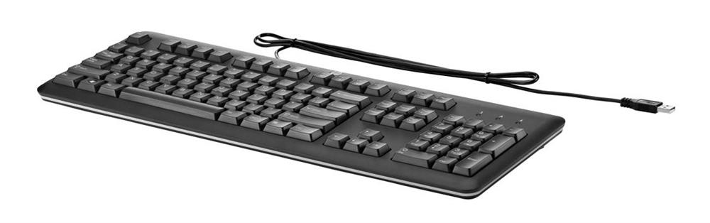 QY776AA#ABN HP USB Standard Keyboard for PC