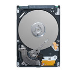 Seagate ST9250315AS06