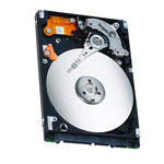 Seagate ST9320329AS