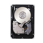 Seagate ST9600004SS