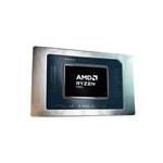 AMD 100-000000970