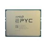 AMD 100-100000075WOF