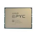 AMD 100-100000317WOF