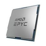 AMD 100-100000800
