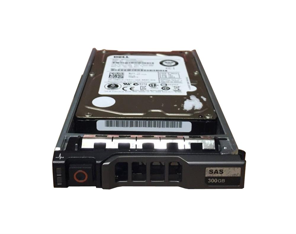 300GB Dell SCSI HDD