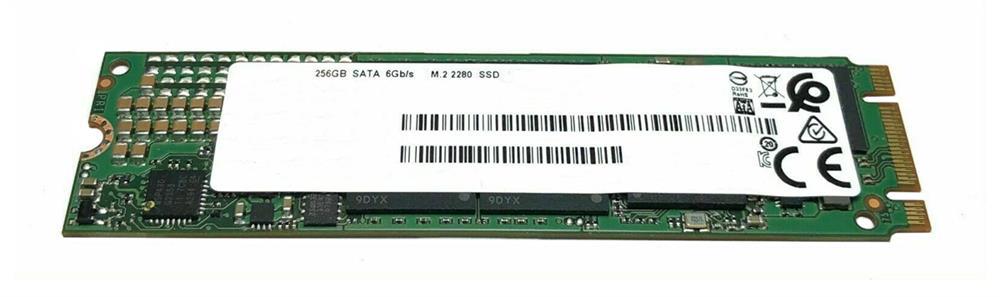 4NJ93AV HP 256GB TLC SATA 6Gbps M.2 2280 Internal Solid State Drive (SSD)
