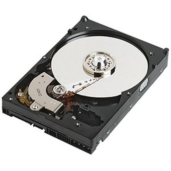 69Y2670 IBM 160GB 7200RPM SATA 3Gbps 3.5-inch Internal Hard Drive for System x