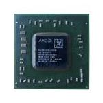 AMD EM2500IBJ23HM