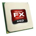 AMD FD6130FRW6KGU