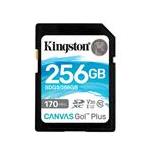 Kingston SDG3/256GB