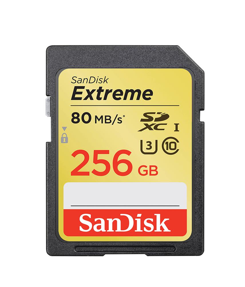 SDSDRX3-256G-A21 SanDisk Extreme 256GB Class 10 SDXC UHS-1 U3 Flash Memory Card