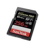 SanDisk SDSDXXG-256G-JNJIP