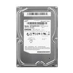 Seagate ST1000DL003