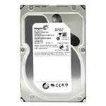 Seagate ST32000541AS