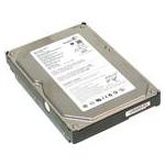 Seagate ST3200822AS