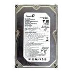 Seagate ST3300822AS