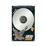 Seagate 1DK141-500