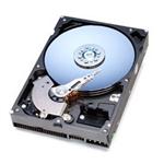 Western Digital CAVIAR 31000
