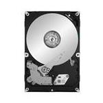 Seagate ST1000VM003