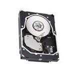 Seagate ST300657SSH